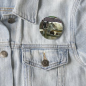 Badge Rond 5 Cm Joli cheval (En situation)