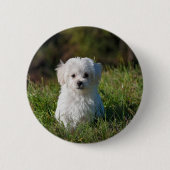 Badge Rond 5 Cm Joli chiot blanc (Devant)