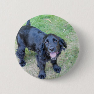 Badge Rond 5 Cm Joli chiot noir