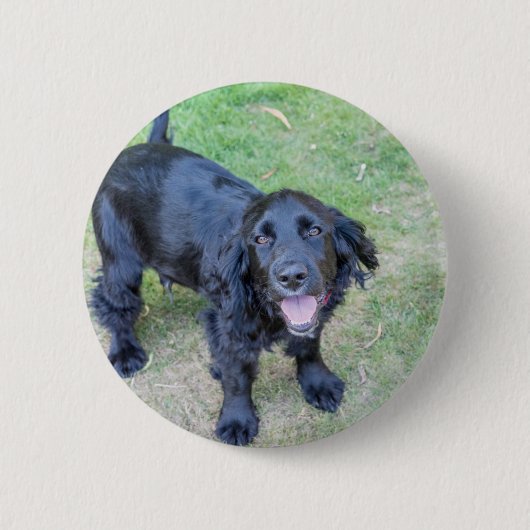 Badge Rond 5 Cm Joli chiot noir (Devant)
