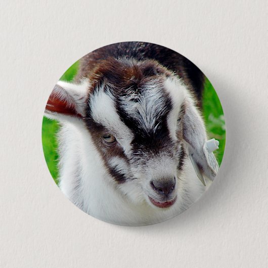 Badge Rond 5 Cm Joli Goat Kid (Devant)