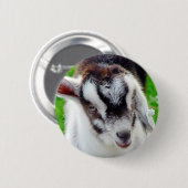 Badge Rond 5 Cm Joli Goat Kid (Devant & derrière)