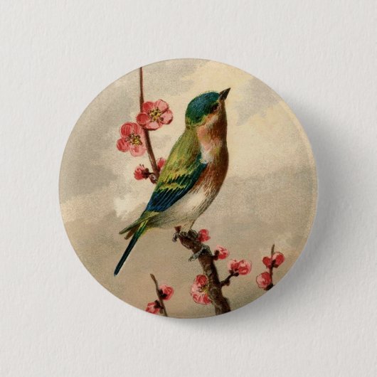 Badge Rond 5 Cm Joli oiseau vintage (Devant)