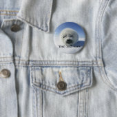 Badge Rond 5 Cm Joli phoque à harpe (En situation)