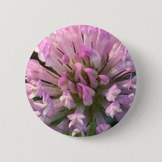 Badge Rond 5 Cm Jolie fleur de trèfle (Devant)
