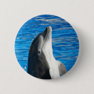 Badge Rond 5 Cm Jolie Plage dauphin amour paix fête destinée