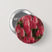 Badge Rond 5 Cm Jolie tulipe rose (Devant & derrière)