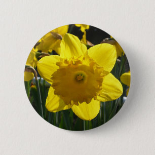 Badge Rond 5 Cm Jonquille ensoleillée
