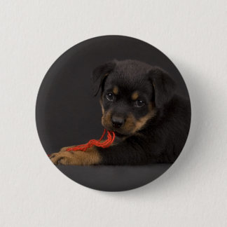 Badge Rond 5 Cm Jouer au chiot 5