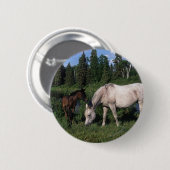 Badge Rond 5 Cm Jument et poulain arabes 2 (Devant & derrière)