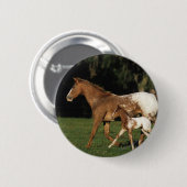 Badge Rond 5 Cm Jument et poulain d'Appaloosa (Devant & derrière)