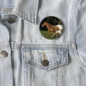 Badge Rond 5 Cm Jument et poulain d'Appaloosa (En situation)