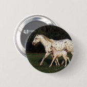 Badge Rond 5 Cm Jument et poulain d'Appaloosa dans le domaine (Devant & derrière)