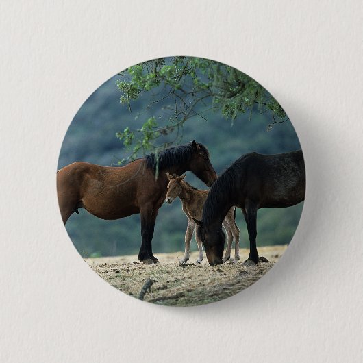 Badge Rond 5 Cm Jument et poulain sauvages de mustang (Devant)