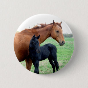 Badge Rond 5 Cm Jument et son colt
