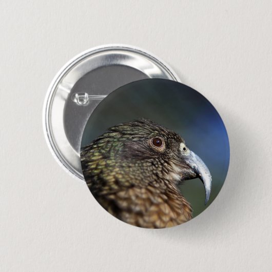 Badge Rond 5 Cm Kea néo-zélandais, perroquet alpin (Devant & derrière)