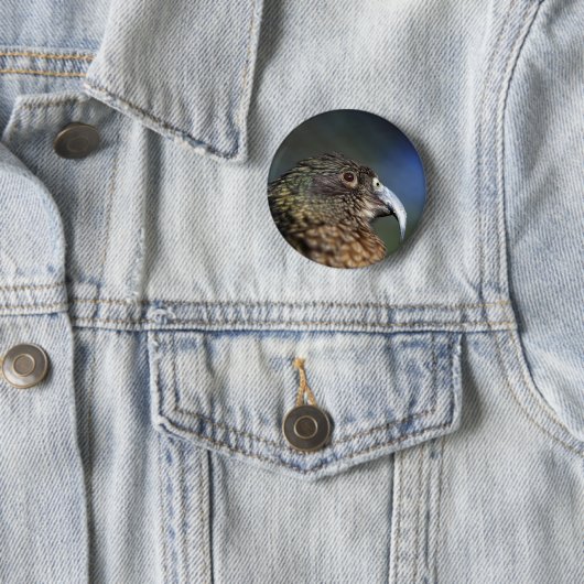 Badge Rond 5 Cm Kea néo-zélandais, perroquet alpin (En situation)