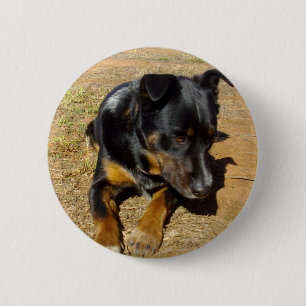 Badge Rond 5 Cm Kelpie_Farm_Life,_