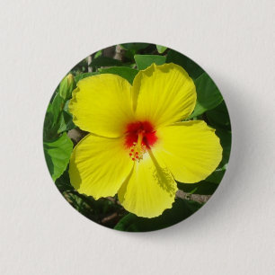 Badge Rond 5 Cm Ketmie jaune