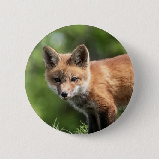 Badge Rond 5 Cm Kit de Fox rouge (Devant)