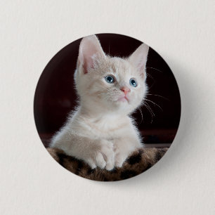 Badge Rond 5 Cm Kitten blanc vulnérable