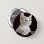 Badge Rond 5 Cm Kitten blanc vulnérable (Devant & derrière)