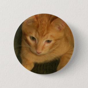 Badge Rond 5 Cm Kitty Button