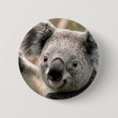 Badge Rond 5 Cm Koala (Devant)