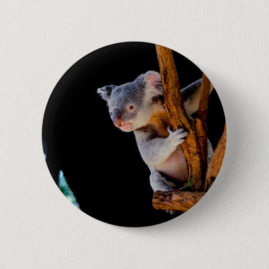 Badge Rond 5 Cm Koala Cute en gris arbre (Devant)