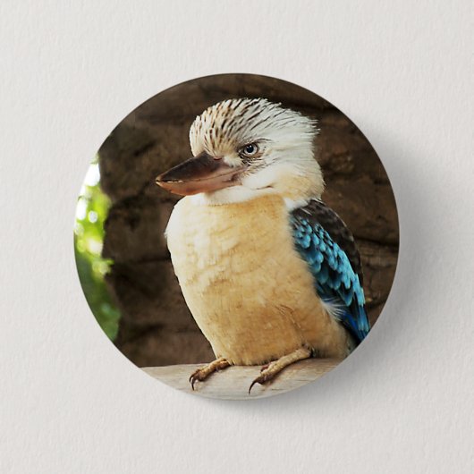 Badge Rond 5 Cm Kookaburra (Devant)
