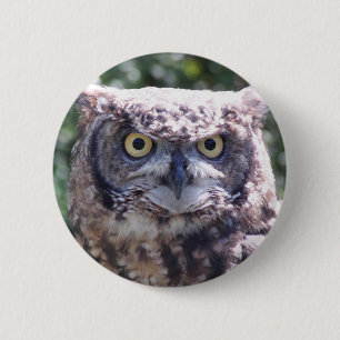 Badge Rond 5 Cm La chouette vous regarde