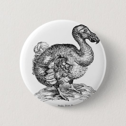 Badge Rond 5 Cm La dronte (Devant)