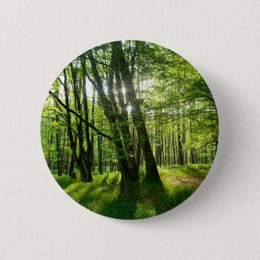 Badge Rond 5 Cm La forêt au printemps (Devant)
