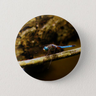Badge Rond 5 Cm La libellule bleue sur un membre marron.