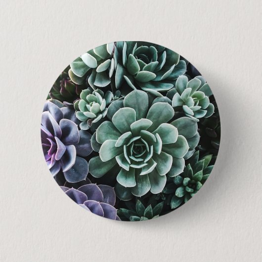 Badge Rond 5 Cm La nature Plante verte Succulente (Devant)