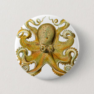 Badge Rond 5 Cm La pieuvre d'Ernst Haeckel