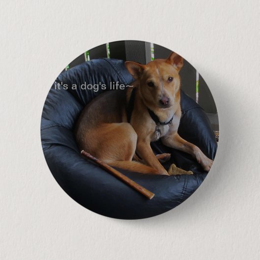 Badge Rond 5 Cm La vie de chien (Devant)