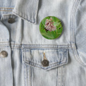 Badge Rond 5 Cm L'abeille bourdrée sur l'algue (En situation)