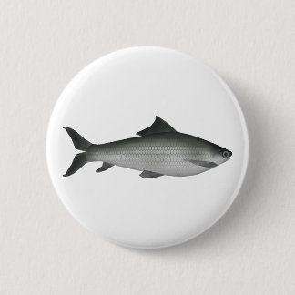 Badge Rond 5 Cm Labeo commun