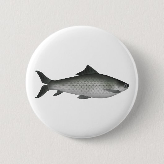 Badge Rond 5 Cm Labeo commun (Devant)