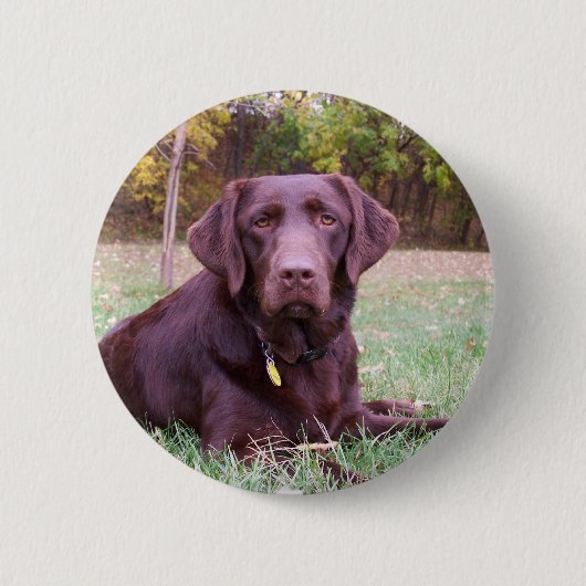 Badge Rond 5 Cm Laboratoire de chocolat (Devant)