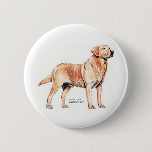 Badge Rond 5 Cm Labrador Retriever (Devant)
