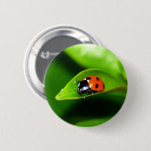 Badge Rond 5 Cm Ladybug (Devant & derrière)