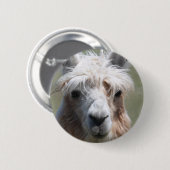 Badge Rond 5 Cm Lama (Devant & derrière)