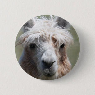 Badge Rond 5 Cm Lama
