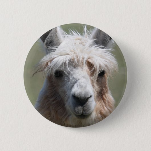 Badge Rond 5 Cm Lama (Devant)