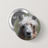 Badge Rond 5 Cm Lama (Devant & derrière)
