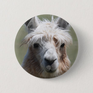 Badge Rond 5 Cm Lama