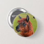 Badge Rond 5 Cm Lama de gingembre (Devant & derrière)