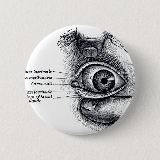 Badge Rond 5 Cm L'anatomie du gris - globe oculaire (Devant)